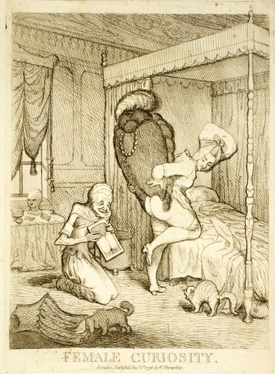 Curiosità Femminile, 1778 da English School